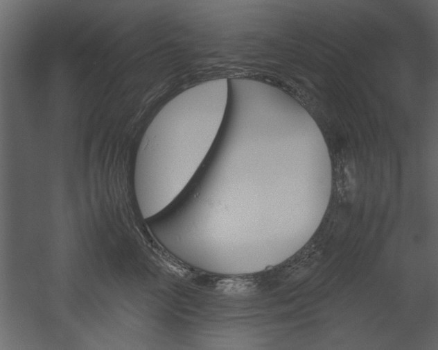 X0000052920714200507080801