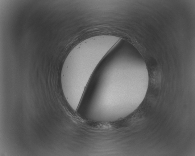 X0000052920715200507080801