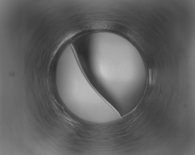 X0000052920723200507080800