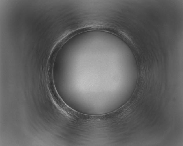 X0000052920730200507080800