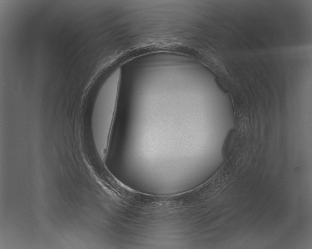 X0000052920736200507080800