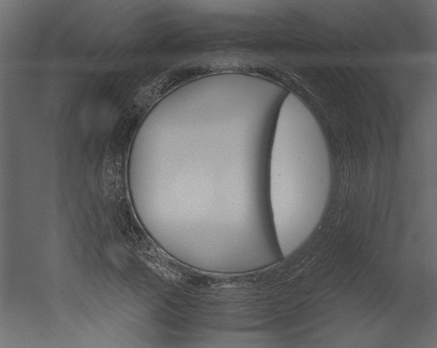 X0000052920737200507080800