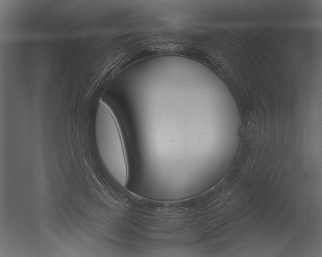 X0000052920739200507080800