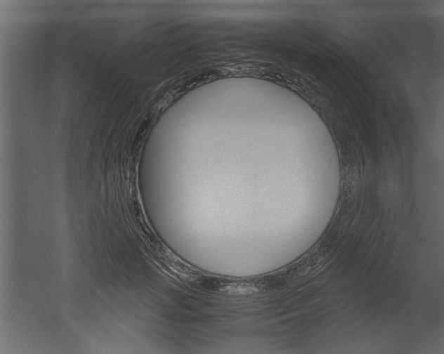 X0000052920749200507080800