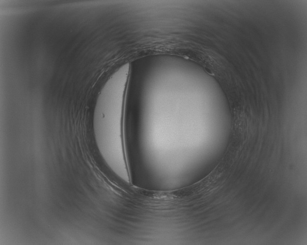X0000052920752200507080800