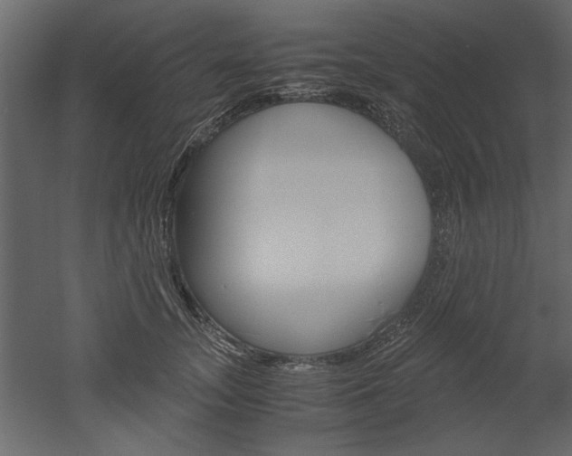 X0000052920755200507080800
