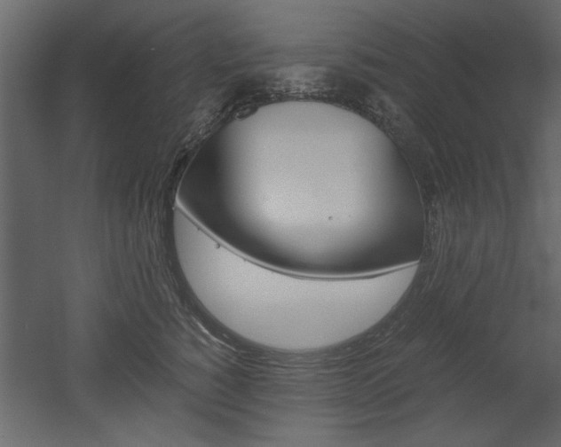 X0000052920760200507080800