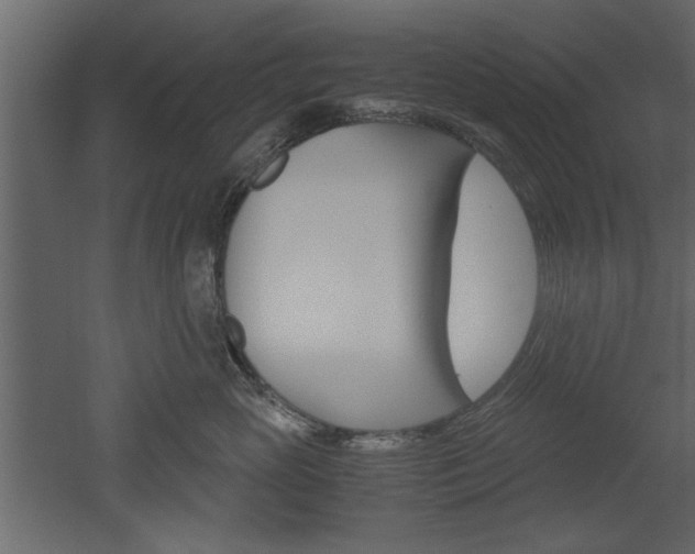 X0000052920765200507080800