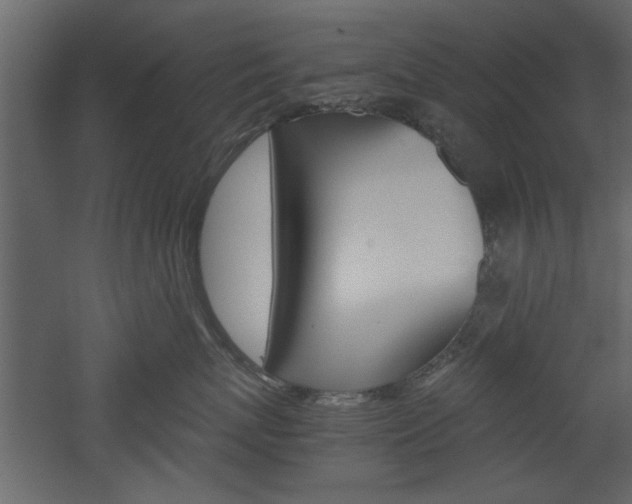 X0000052920767200507080800