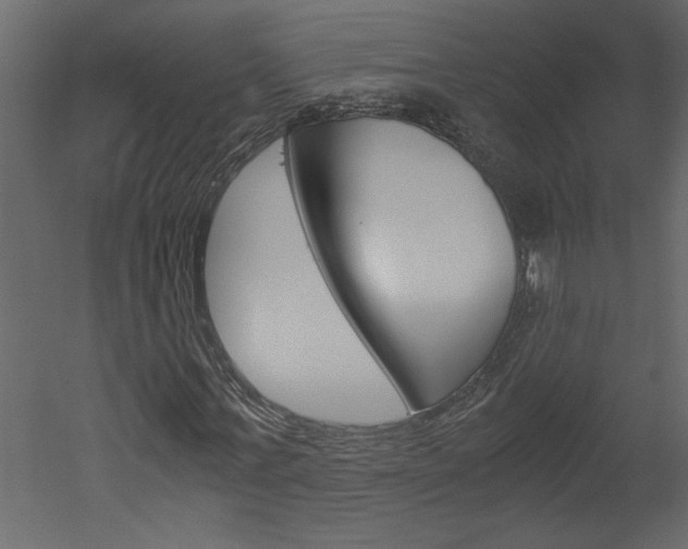 X0000052920771200507080800