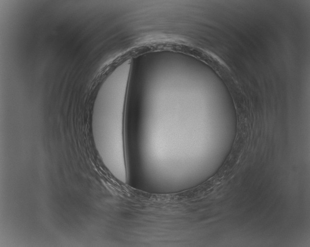 X0000052920775200507080759