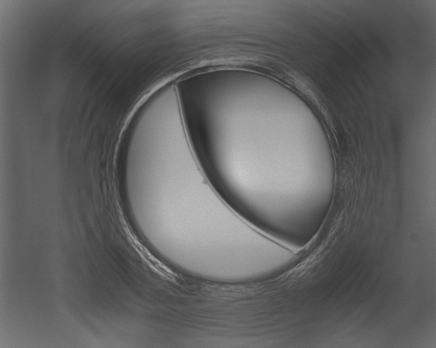 X0000052920787200507080759