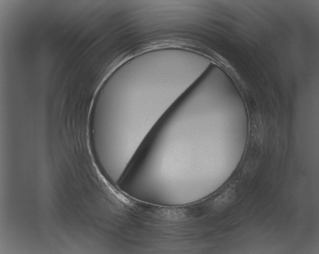 X0000052920802200507080759