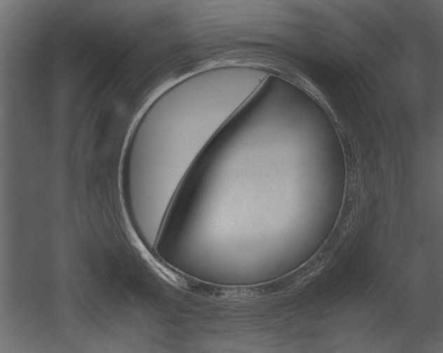 X0000052920803200507080759