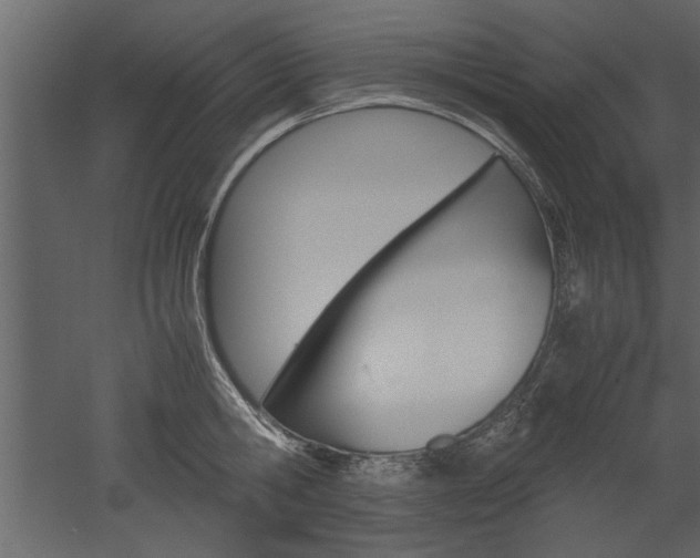 X0000052920806200507080759