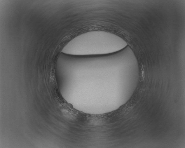 X0000052920819200507080758