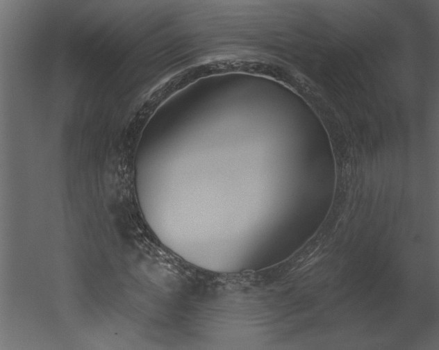 X0000052920822200507080758