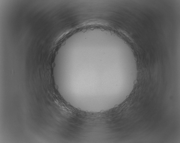 X0000052920824200507080758