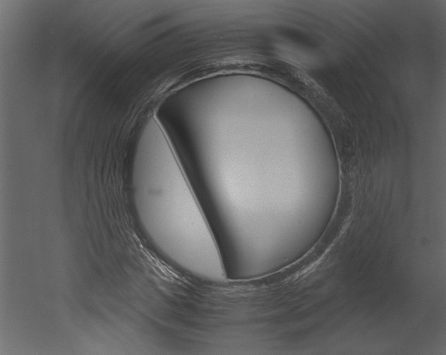 X0000052920825200507080758