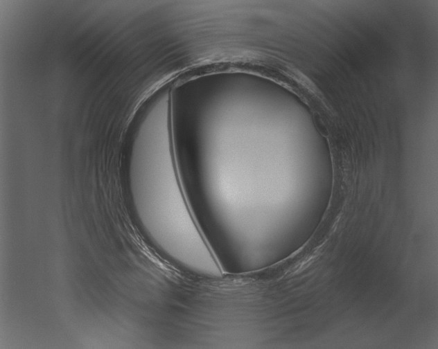 X0000052920826200507080758