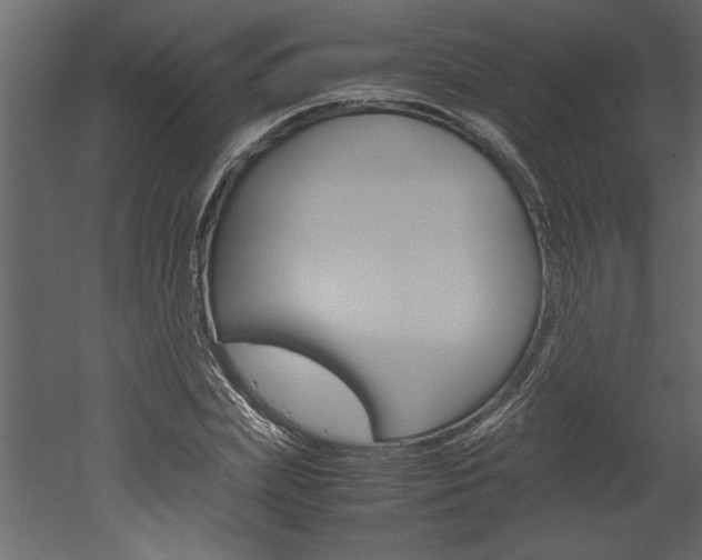 X0000052920831200507080758