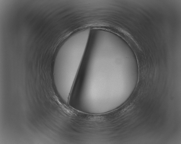 X0000052920833200507080758