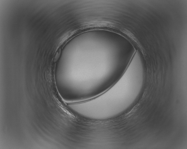 X0000052920834200507080758