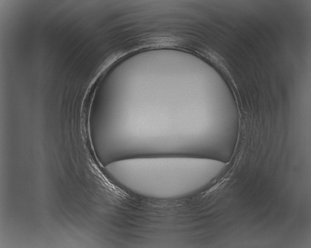 X0000052920835200507080758