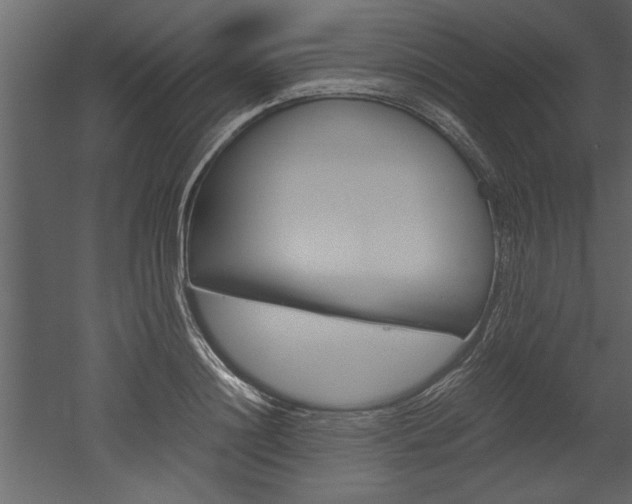 X0000052920844200507080758