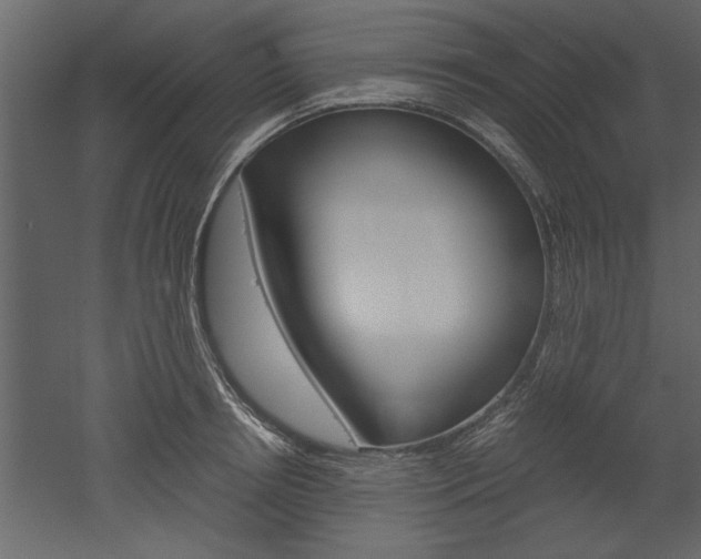 X0000052920850200507080759