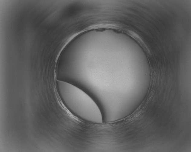 X0000052920852200507080759