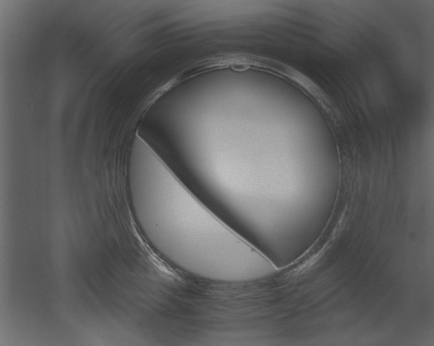 X0000052920857200507080759