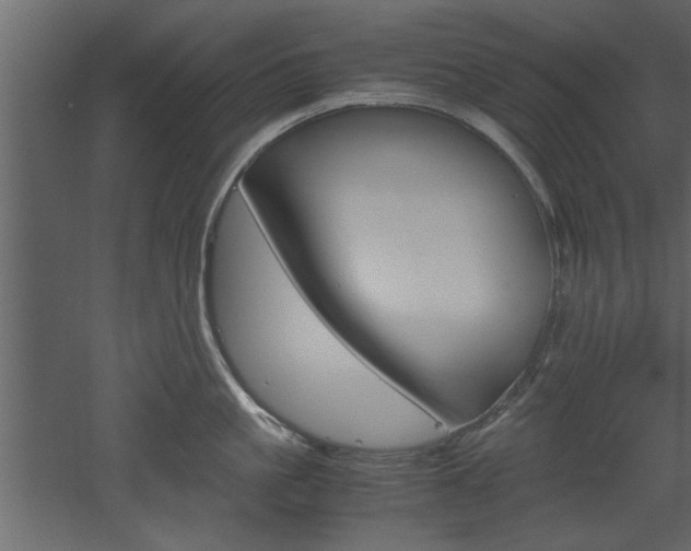 X0000052920861200507080759