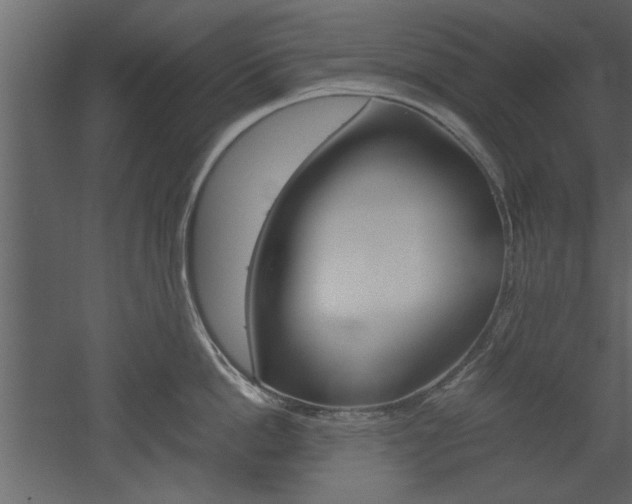 X0000052920862200507080759