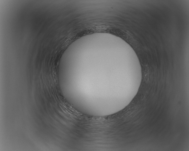 X0000052920866200507080758
