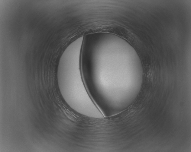 X0000052920868200507080758