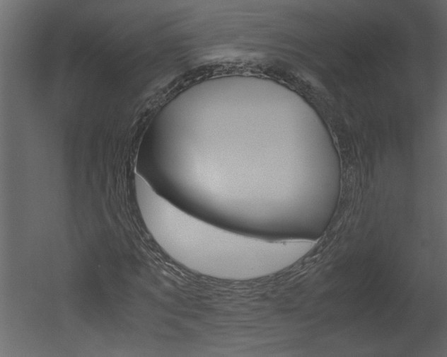 X0000052920869200507080758