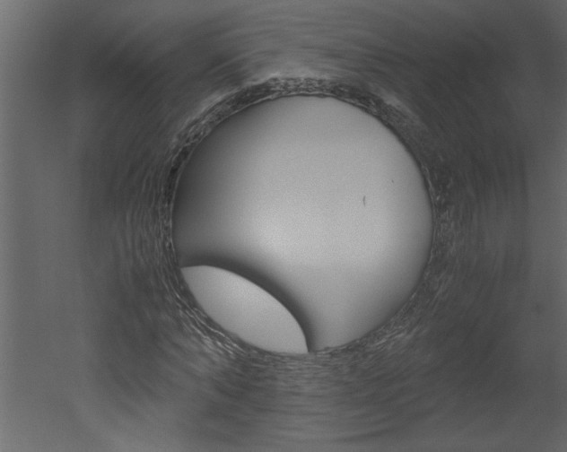 X0000052920870200507080758