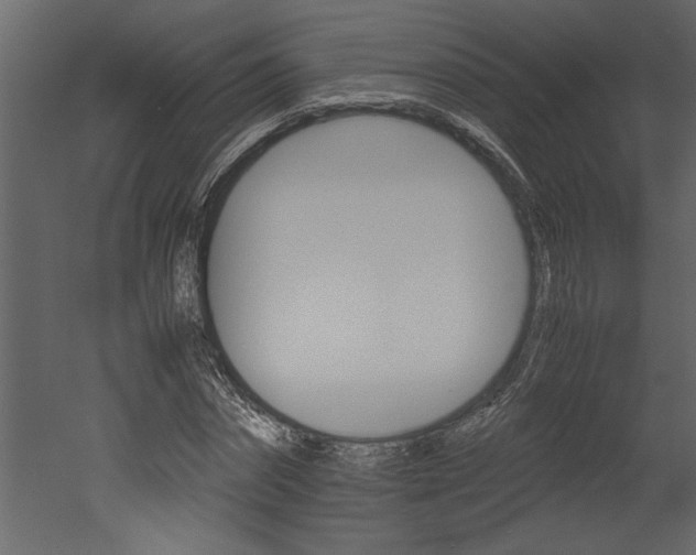 X0000052920874200507080758