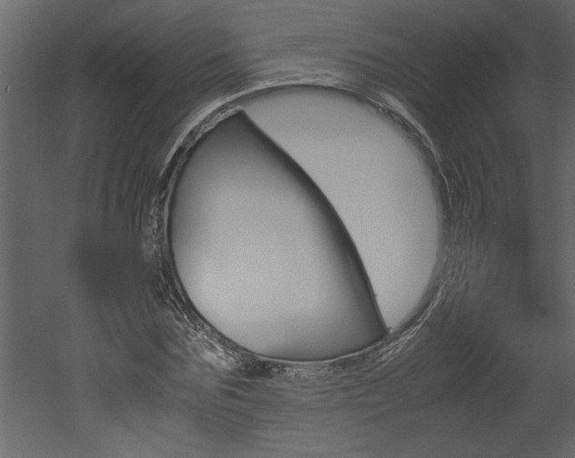 X0000052920875200507080758