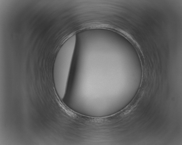 X0000052920897200507080757