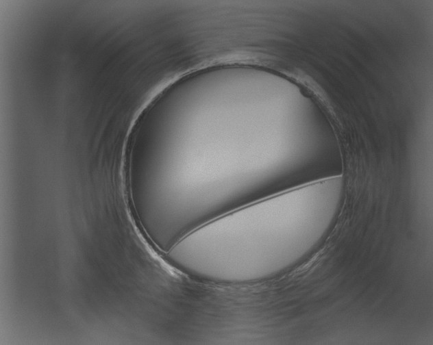 X0000052920902200507080757