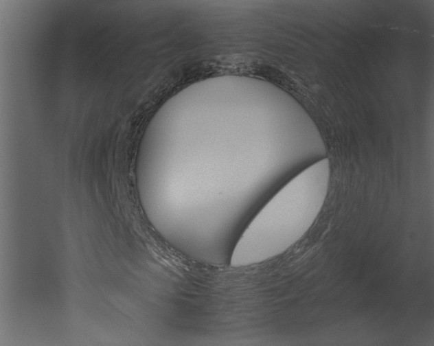 X0000052920913200507080756