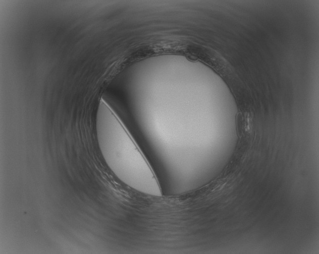X0000052920915200507080756