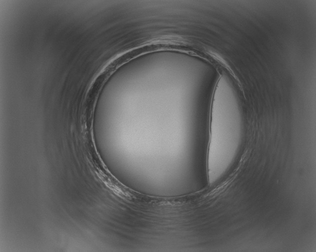 X0000052920923200507080757