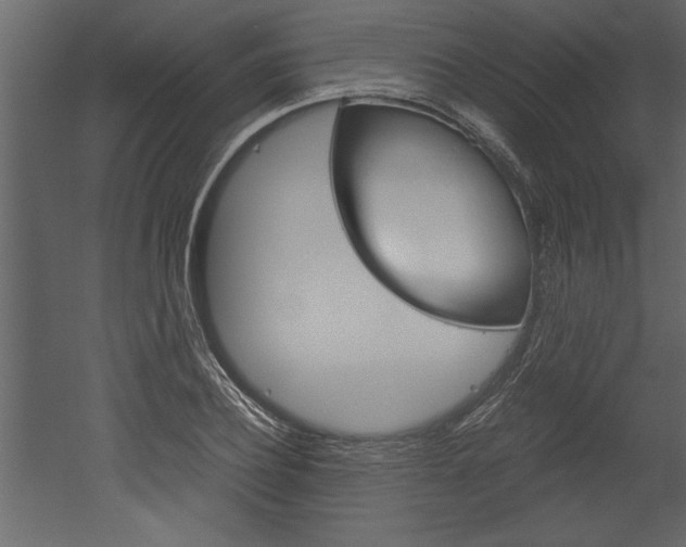 X0000052920932200507080757