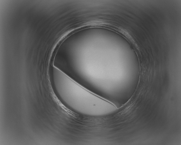X0000052920939200507080757