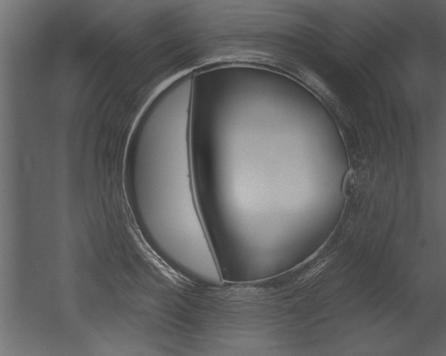 X0000052920940200507080757