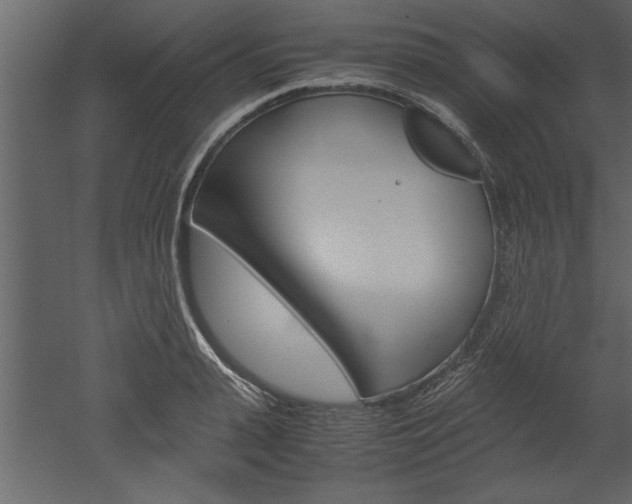 X0000052920943200507080757