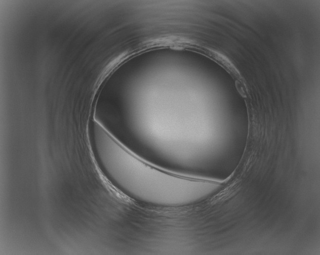 X0000052920946200507080757